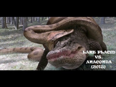 Anaconda Full Movie In Hindi All Parts